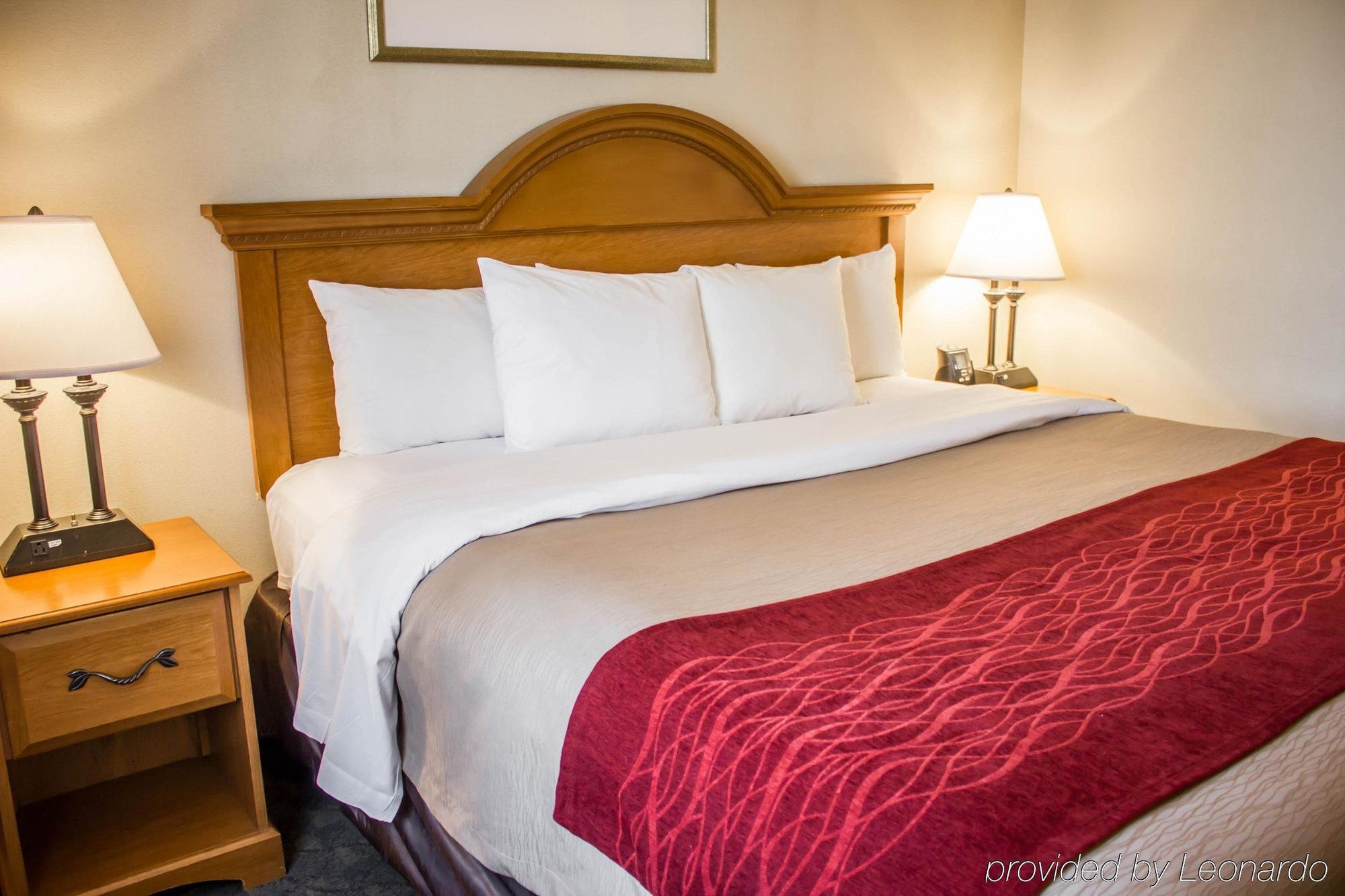 Comfort Inn Jfk Airport New York Eksteriør billede