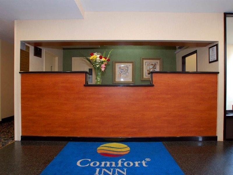 Comfort Inn Jfk Airport New York Eksteriør billede